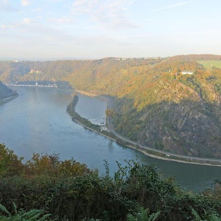 Roosartige Ferien - Ferienwohnung Am Weiherturm Bacharach Eksteriør billede
