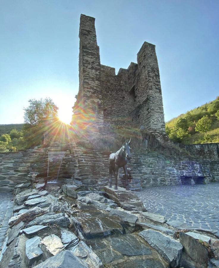 Roosartige Ferien - Ferienwohnung Am Weiherturm Bacharach Eksteriør billede