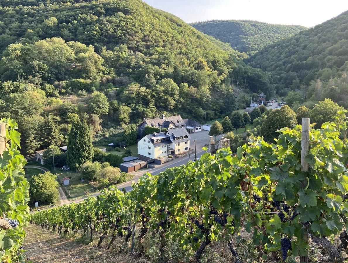 Roosartige Ferien - Ferienwohnung Am Weiherturm Bacharach Eksteriør billede
