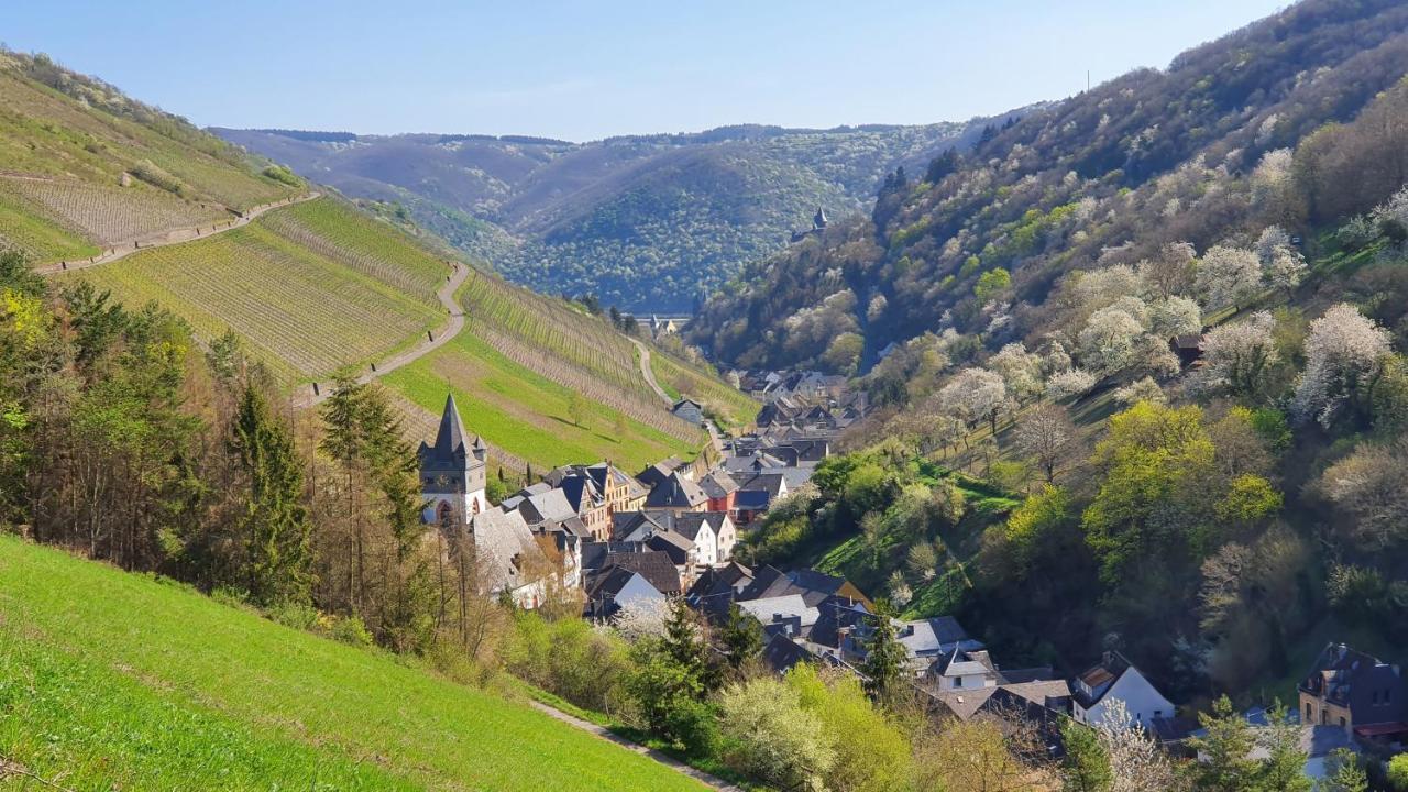 Roosartige Ferien - Ferienwohnung Am Weiherturm Bacharach Eksteriør billede